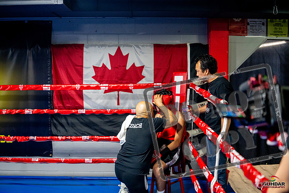 Cougar boxing June 7th 2025-0212