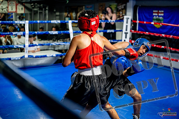 Cougar boxing June 7th 2025-0259