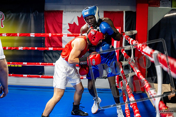 Cougar boxing June 7th 2025-0500