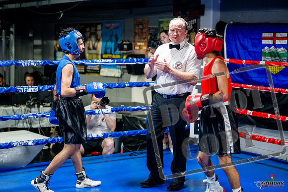 Cougar boxing June 7th 2025-0269