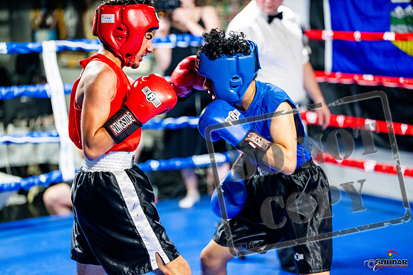 Cougar boxing June 7th 2025-0243