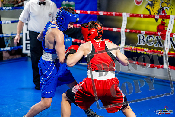 Cougar boxing June 7th 2025-0532