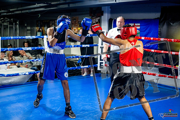 Cougar boxing June 7th 2025-0582