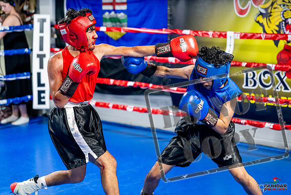 Cougar boxing June 7th 2025-0270