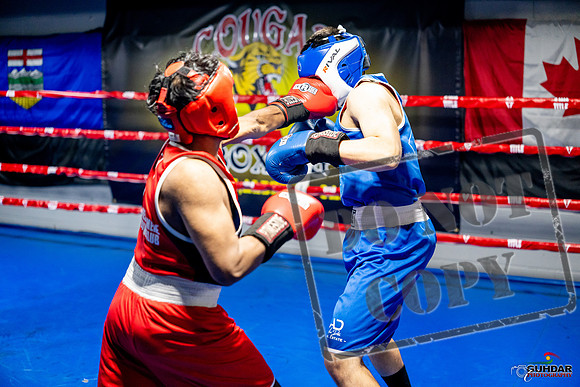 Cougar boxing June 7th 2025-0310