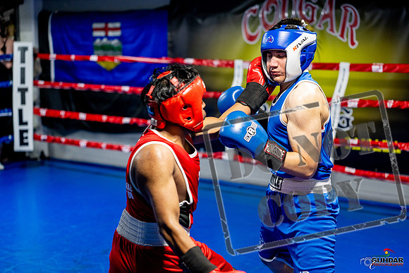 Cougar boxing June 7th 2025-0327
