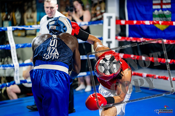 Cougar boxing June 7th 2025-0465