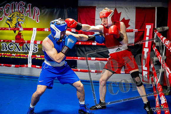 Cougar boxing June 7th 2025-0382