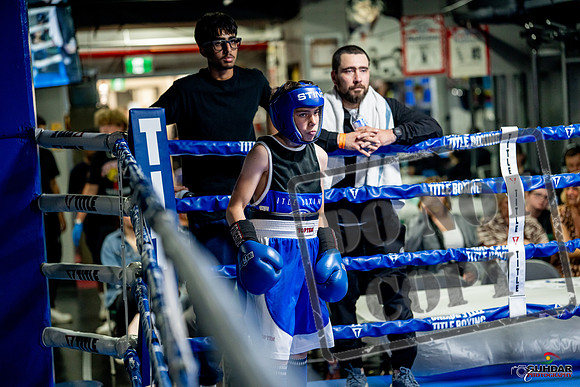 Cougar boxing June 7th 2025-0941