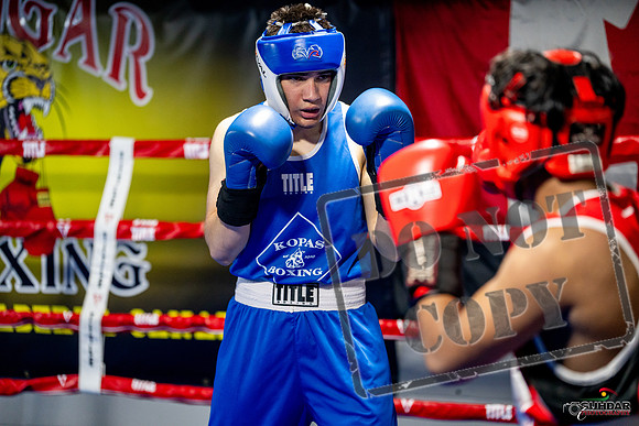Cougar boxing June 7th 2025-0318