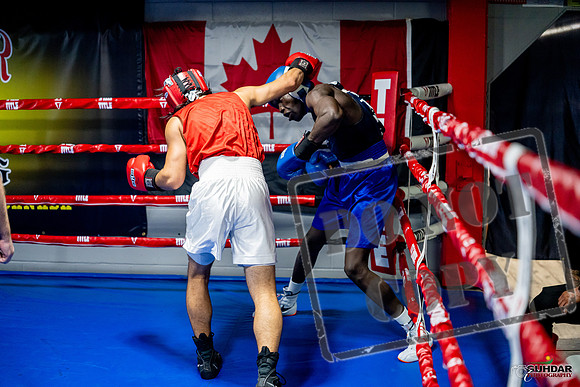 Cougar boxing June 7th 2025-0501