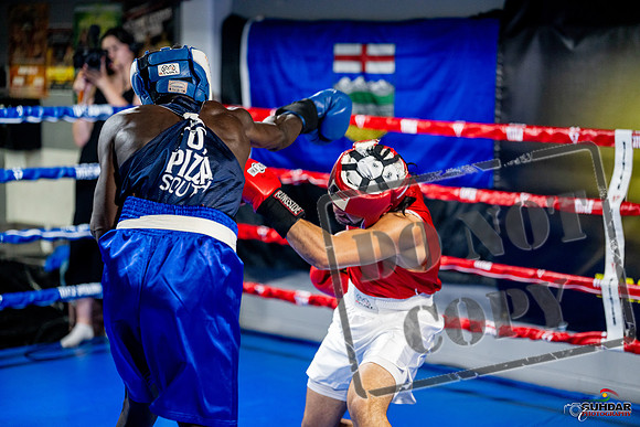 Cougar boxing June 7th 2025-0471