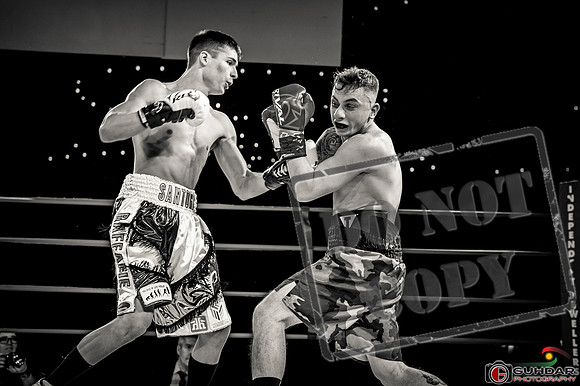 KO BOXING 81-59