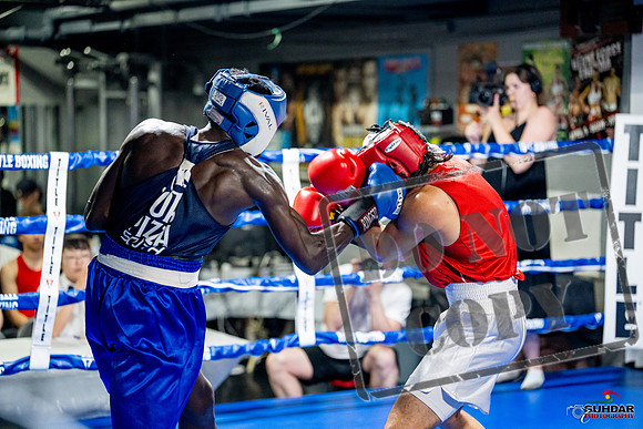 Cougar boxing June 7th 2025-0459