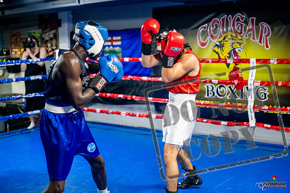 Cougar boxing June 7th 2025-0489
