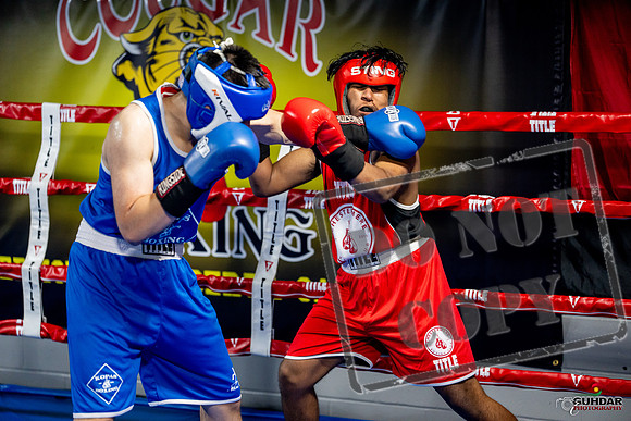 Cougar boxing June 7th 2025-0351