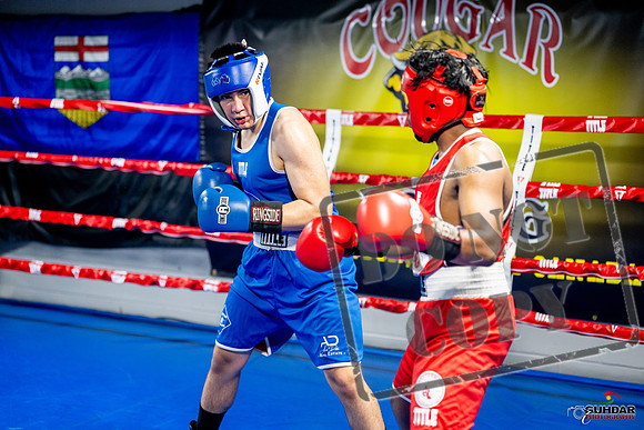 Cougar boxing June 7th 2025-0324