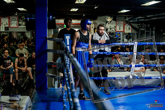 Cougar boxing June 7th 2025-0573