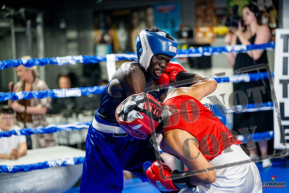 Cougar boxing June 7th 2025-0434