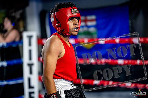 Cougar boxing June 7th 2025-0600