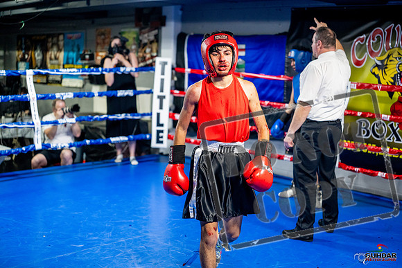 Cougar boxing June 7th 2025-0262