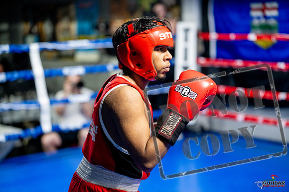 Cougar boxing June 7th 2025-0311
