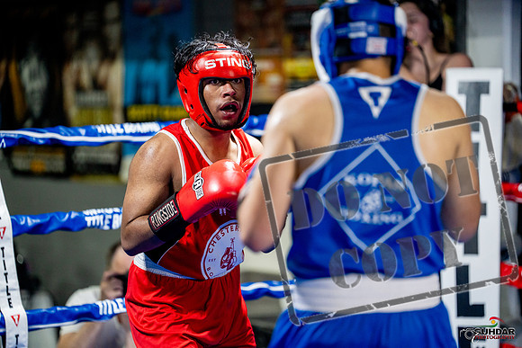 Cougar boxing June 7th 2025-0353