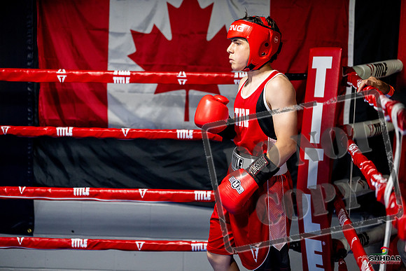 Cougar boxing June 7th 2025-0511