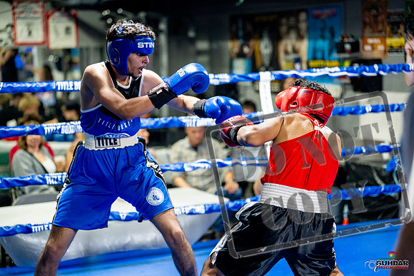 Cougar boxing June 7th 2025-0608
