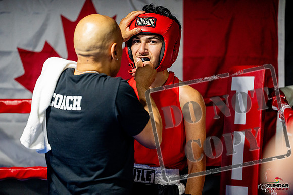 Cougar boxing June 7th 2025-0213