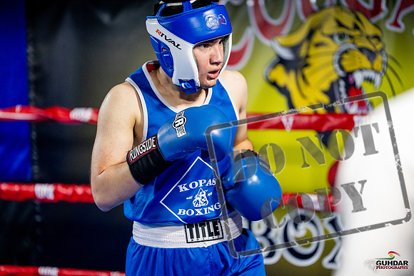 Cougar boxing June 7th 2025-0332