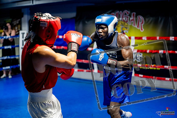 Cougar boxing June 7th 2025-0488
