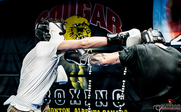 Cougar-0040