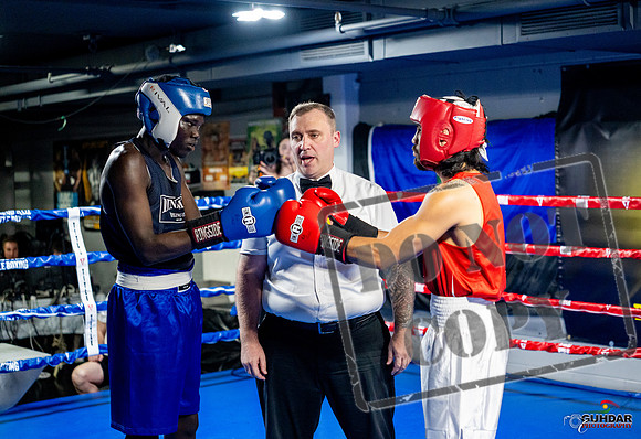 Cougar boxing June 7th 2025-0420