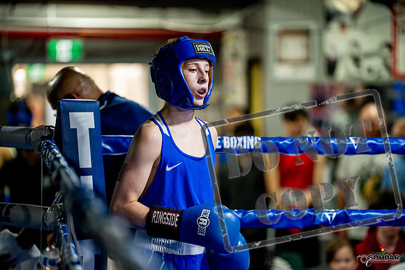 Cougar boxing June 7th 2025-0509