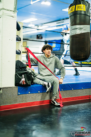 Cougar Boxing-0002
