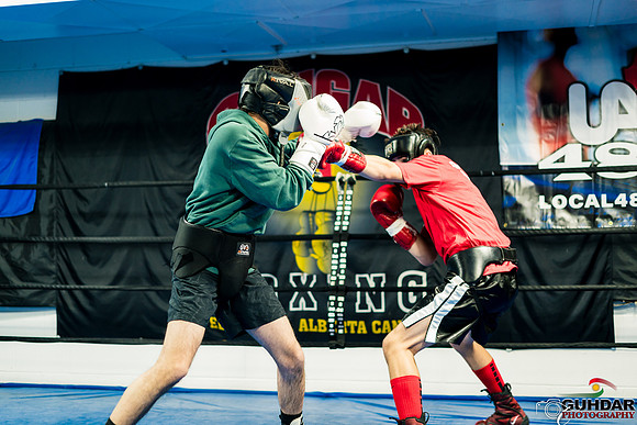 Cougar Boxing-0010