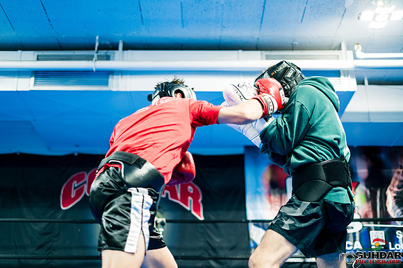 Cougar Boxing-0013