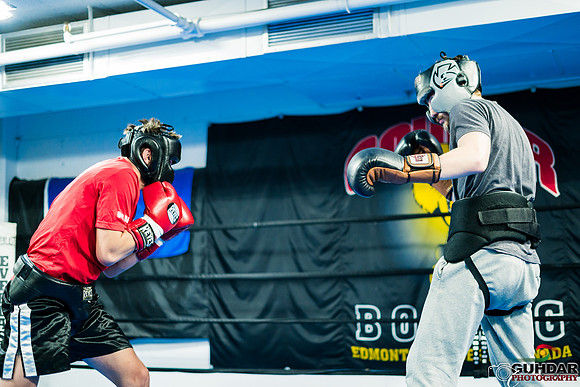 Cougar Boxing-0017