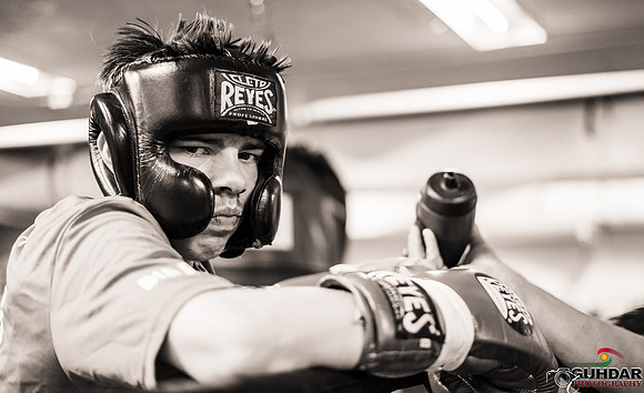 Cougar Boxing-0021