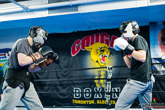 Cougar Boxing-0027