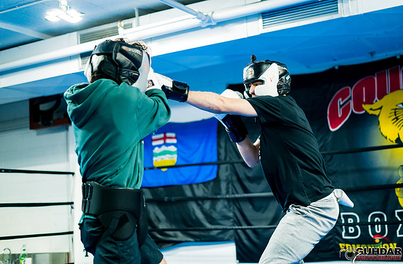 Cougar Boxing-0031