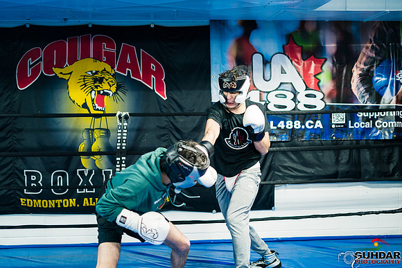 Cougar Boxing-0034