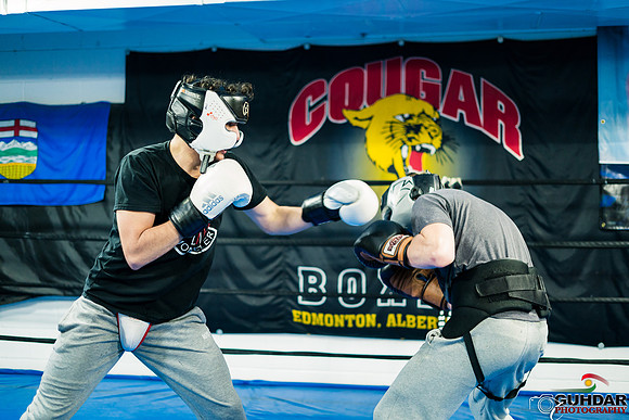 Cougar Boxing-0035