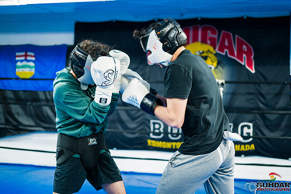 Cougar Boxing-0040