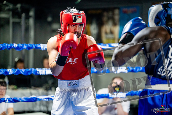 Cougar boxing June 7th 2025-0443