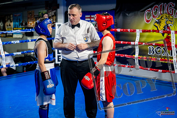 Cougar boxing June 7th 2025-0942