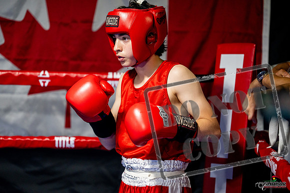 Cougar boxing June 7th 2025-0940