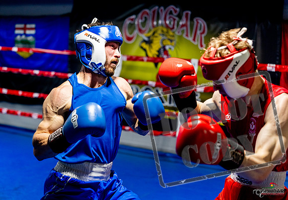 Cougar boxing June 7th 2025-0378