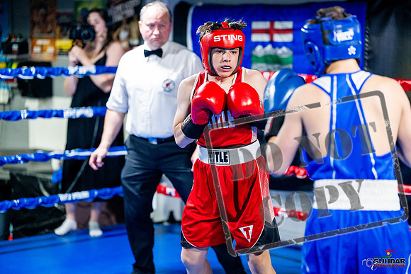 Cougar boxing June 7th 2025-0527